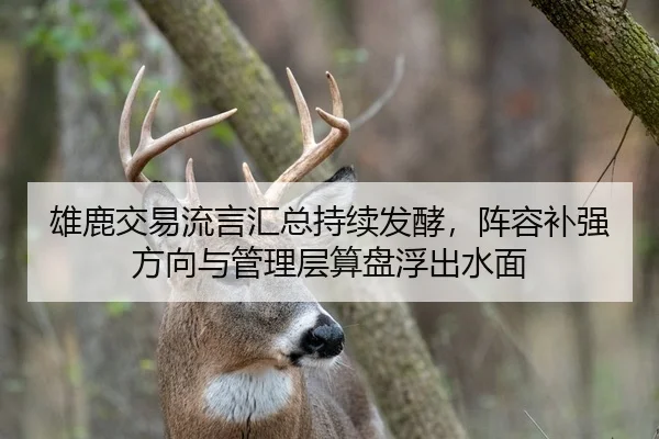 雄鹿交易流言汇总持续发酵，阵容补强方向与管理层算盘浮出水面