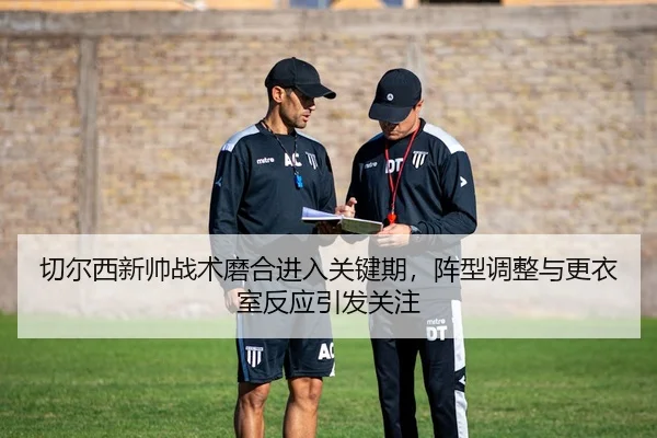 qie-er-xi-xin-shuai-zhan-shu-mo-he-jin-ru-guan-jian-qi-zhen-xing-tiao-zheng-yu-geng-yi-shi-fan-ying-yin-fa-guan-zhu-3-677.jpg